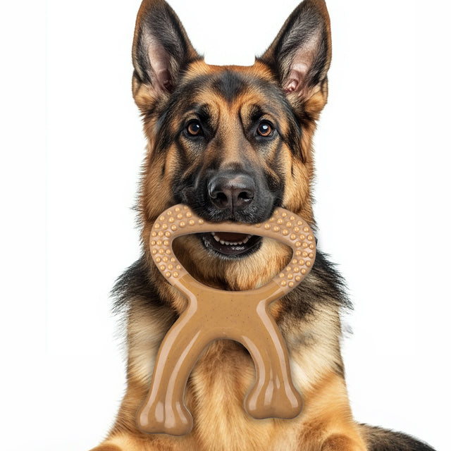 Wholesale Nylon Dog Chew Bone – Durable Beef Flavor Wishbone Tooth Cleaner, OEM