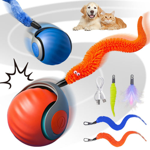 Cat self-play gravity ball