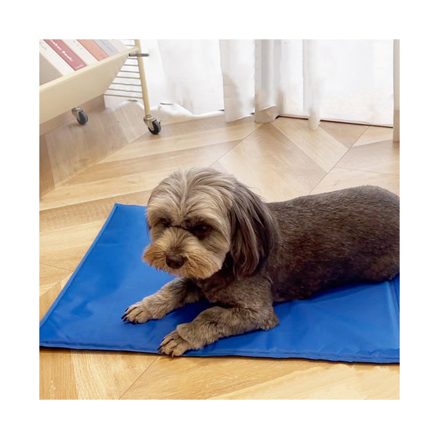 Wholesale Dog Cooling Gel Mat – Self-Cooling Waterproof Summer Pad for Dogs & Cats, OEM