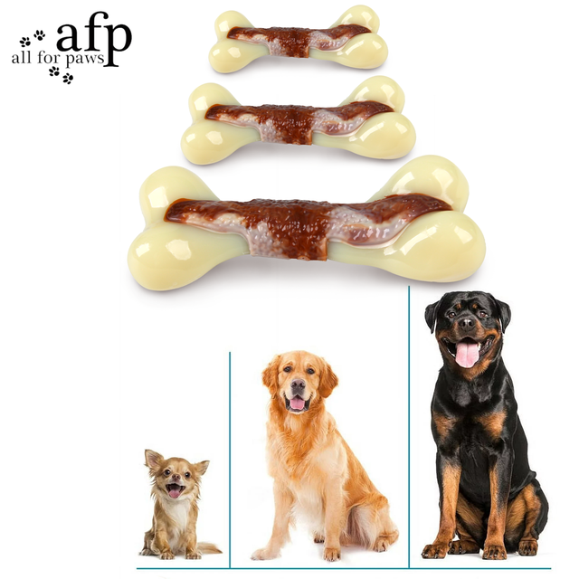 Wholesale Nylon Dog Chew Bone – Durable Beef Flavor Wishbone Tooth Cleaner, OEM