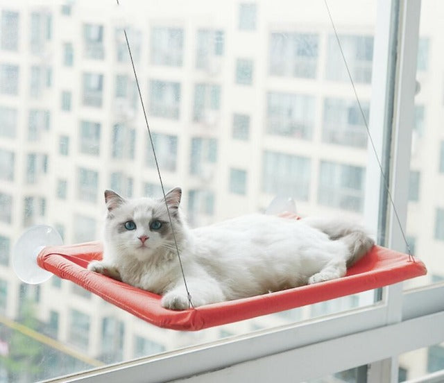 Wholesale cat window perch hammock suction cup seat